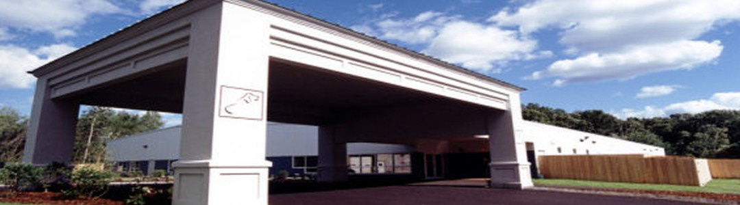 Image 01